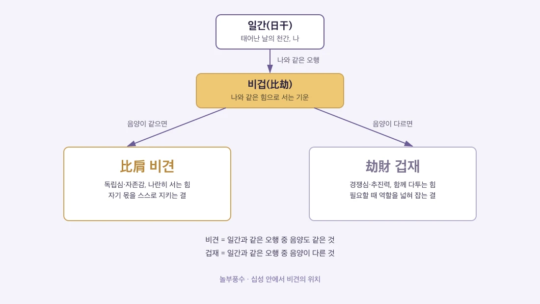 십성 안에서 비겁의 위치와 비견·겁재 분기 — 일간과 같은 오행 중 음양이 같으면 비견, 다르면 겁재