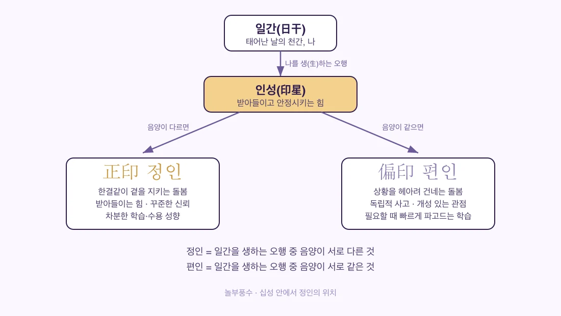 십성 안에서 정인의 위치 — 일간을 생하는 오행 중 음양이 다르면 정인, 같으면 편인